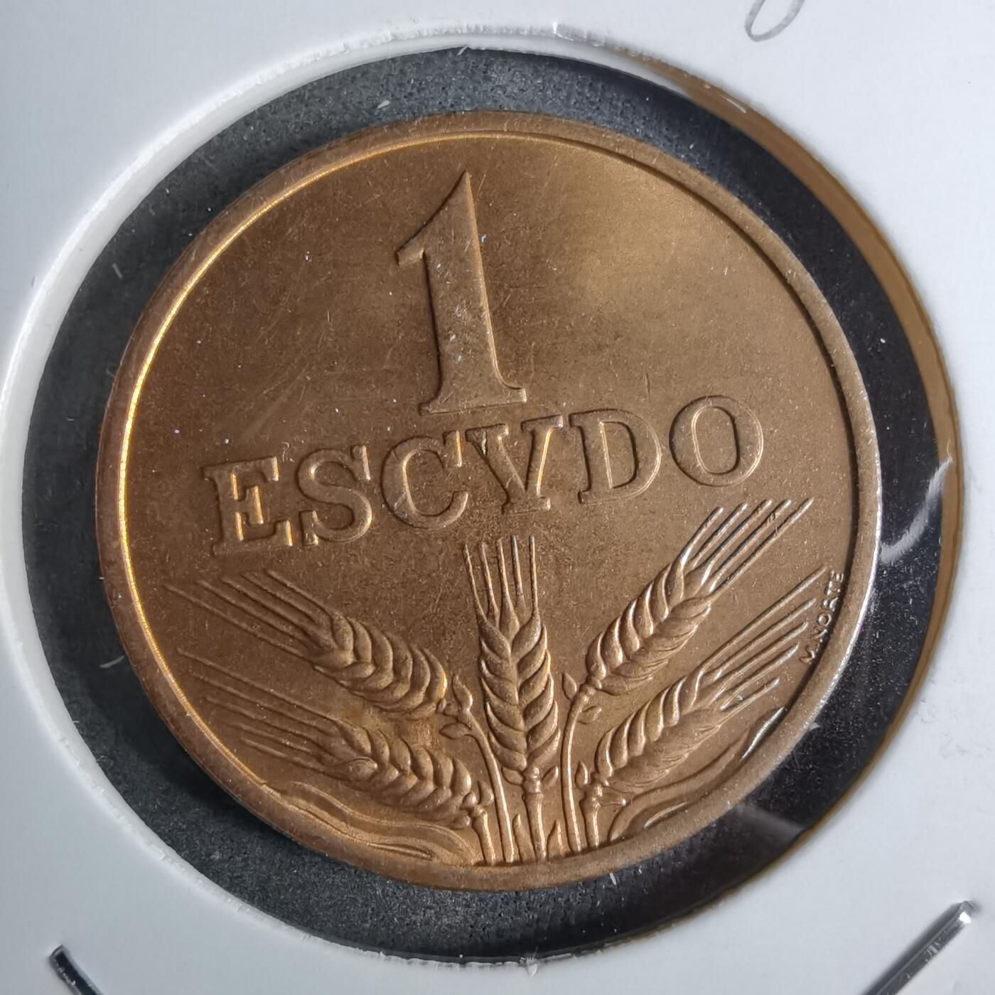 沼泽如烟--第886场