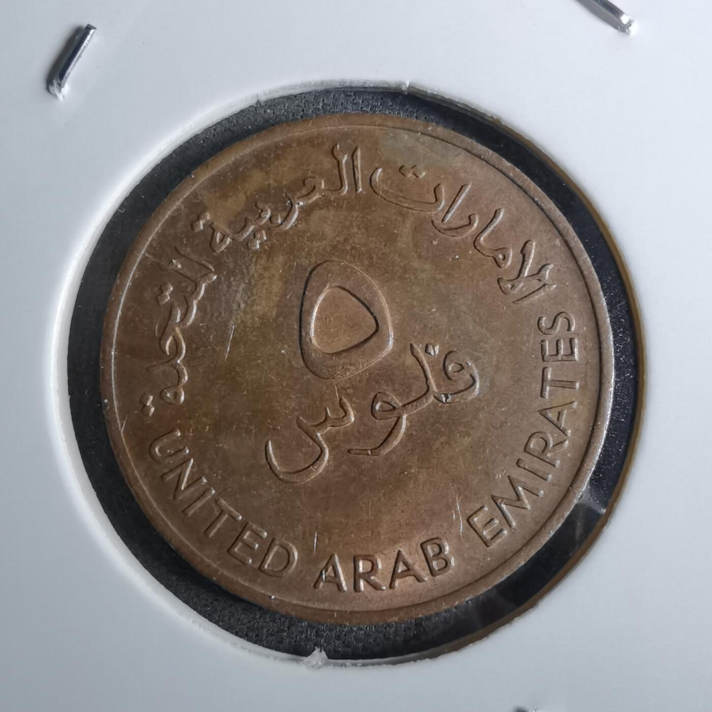 沼泽如烟--第886场 阿联酋