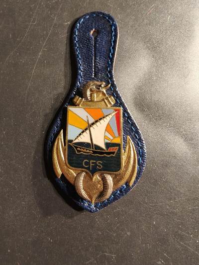 老王徽章第160期 -  法国海军陆战队和突击队司令部证章