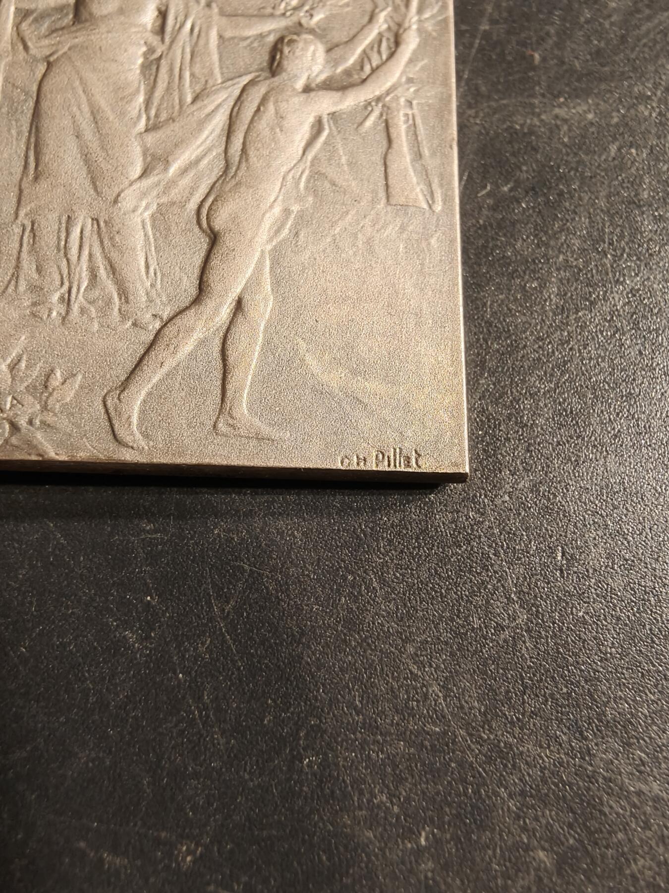 老王徽章第160期  法国射击联盟镀银方形大铜章      大师皮列作品     尺寸41×26mm.    重量24.5g.    