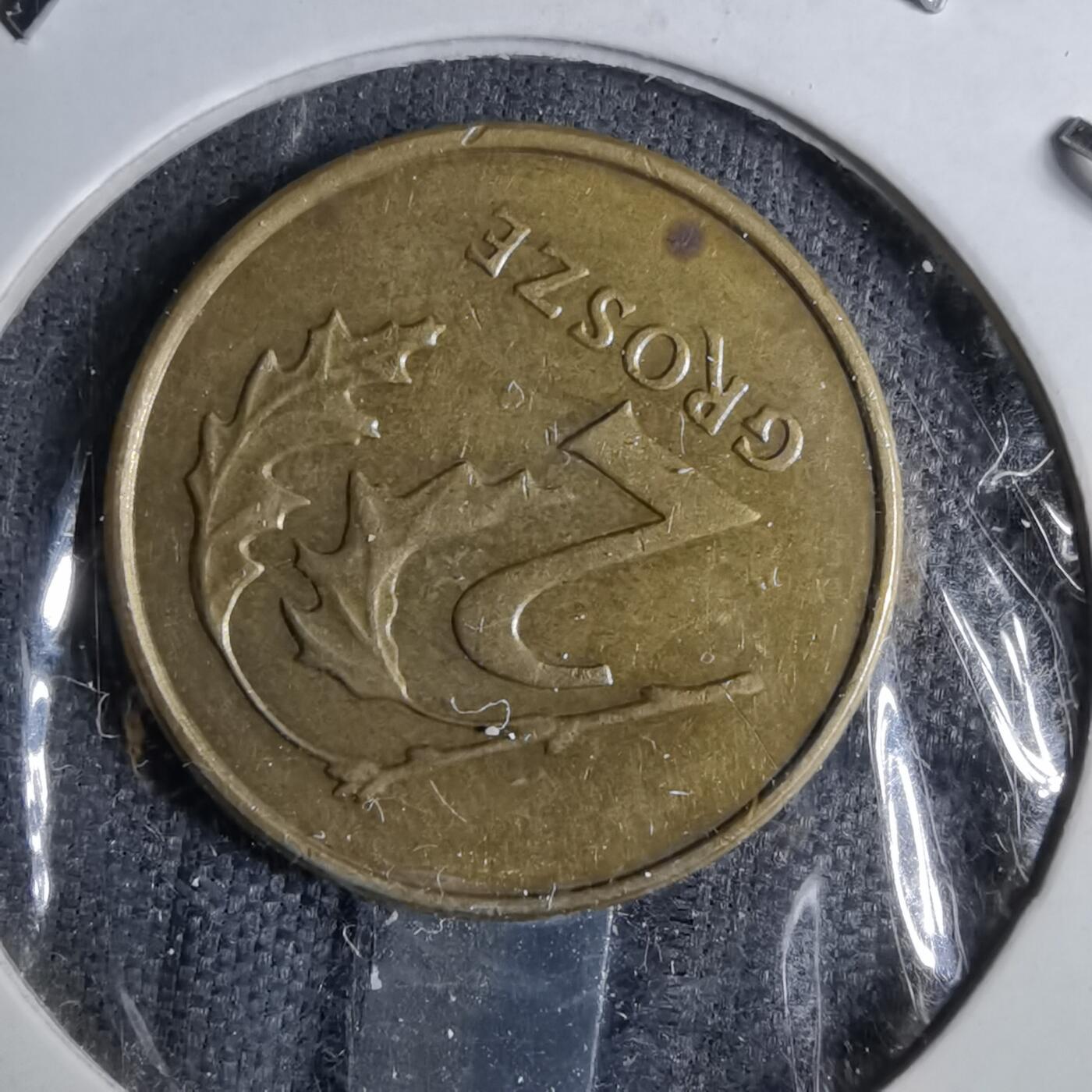 沼泽如烟--第886场