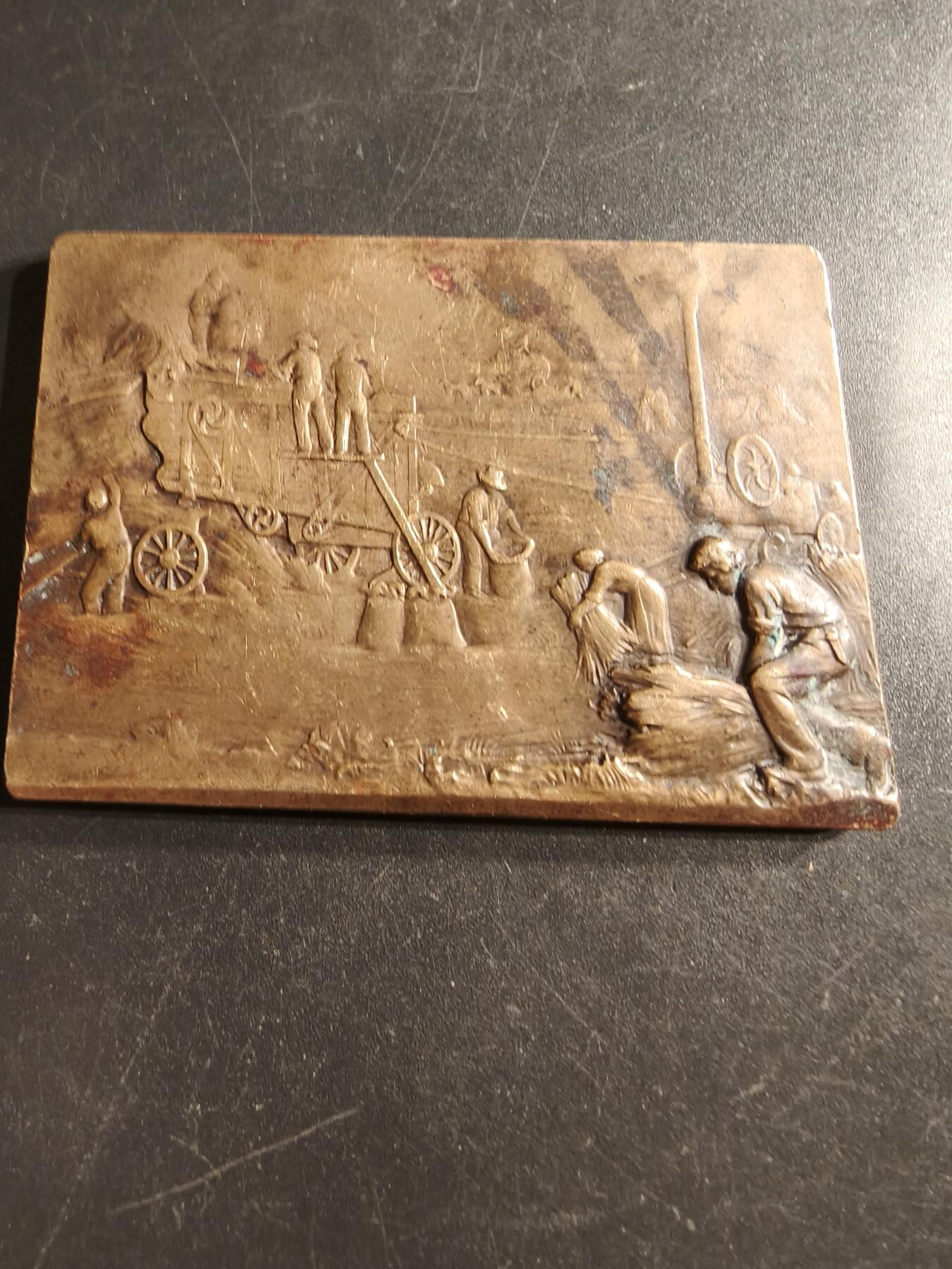 老王徽章第160期  法国下加莱海峡省农业协会方形大铜章      尺寸66×48mm.    重量110g