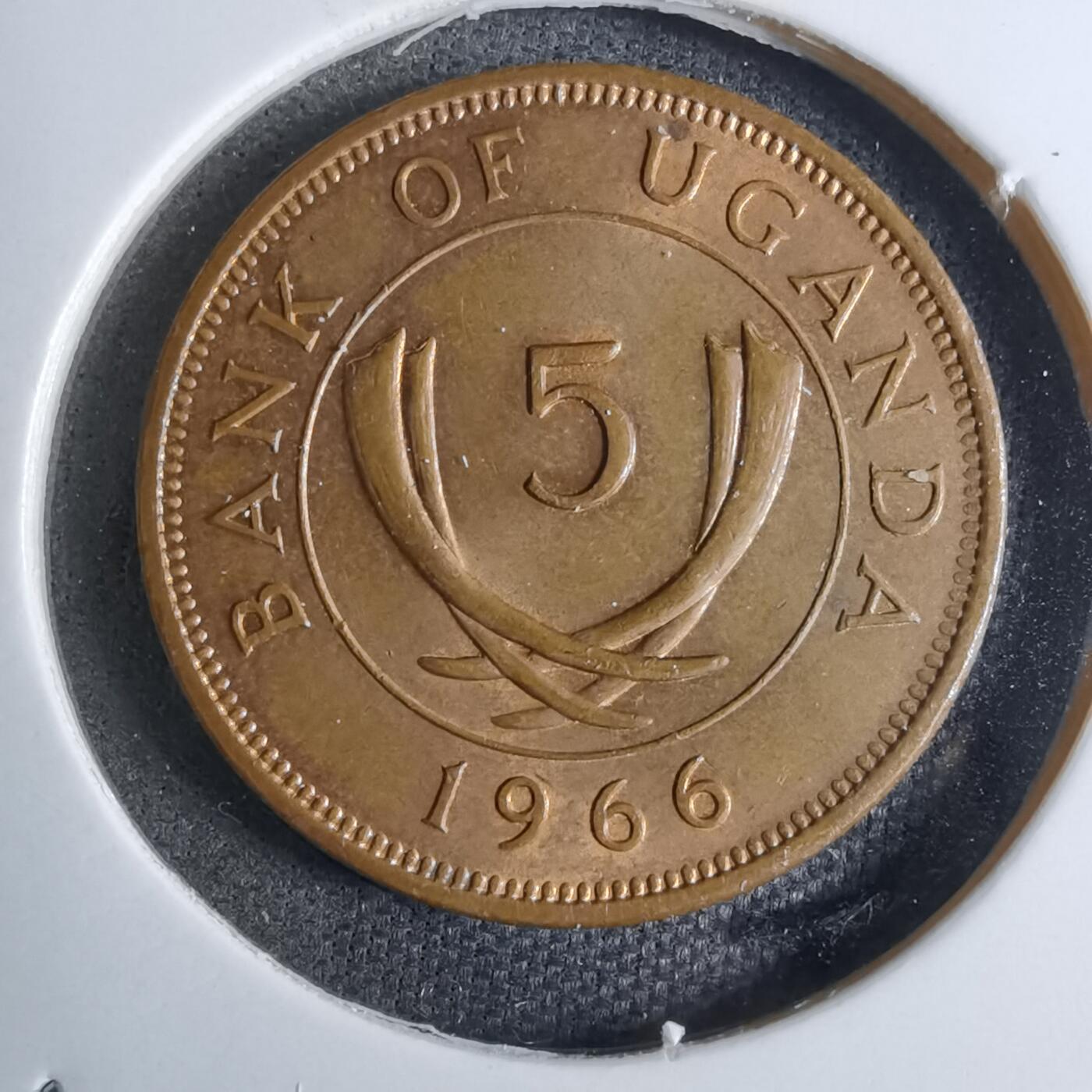 沼泽如烟--第886场