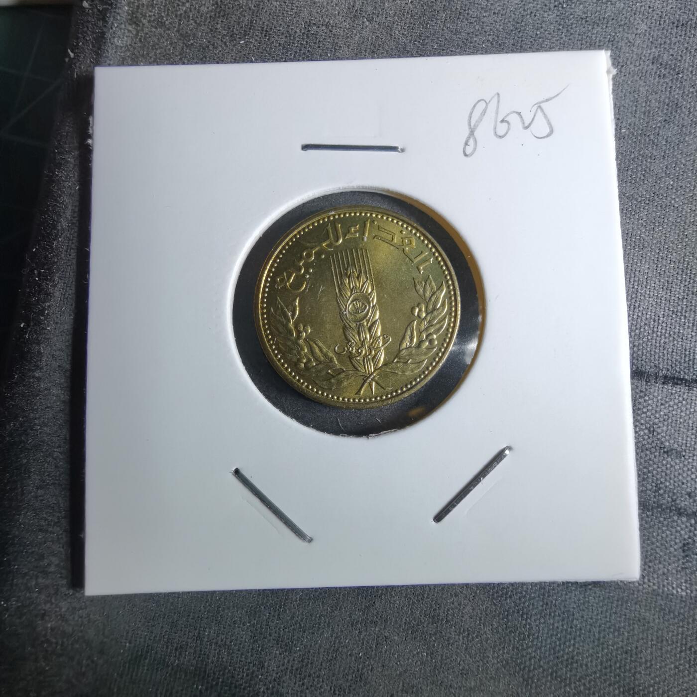 沼泽如烟--第886场