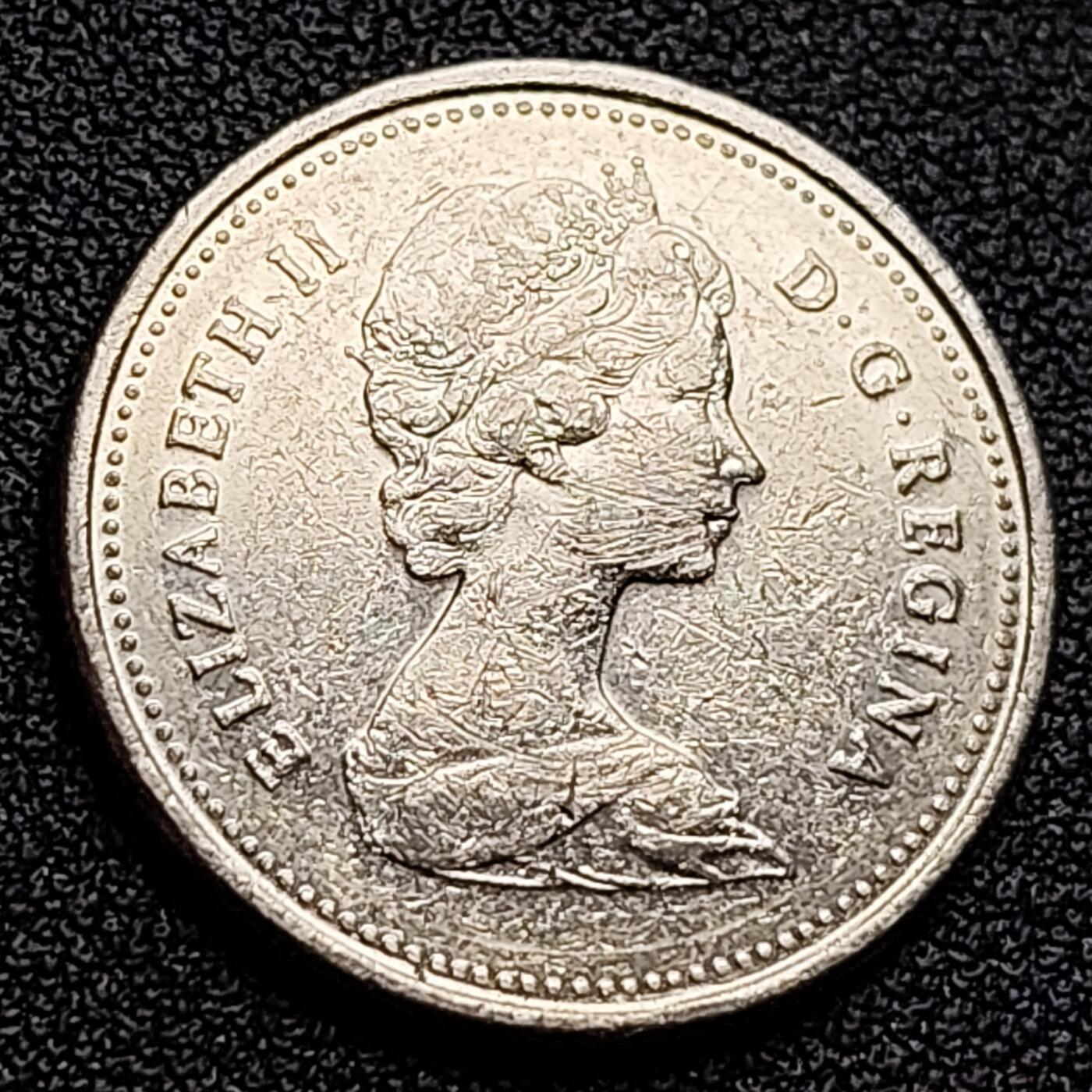 泉币菌-第122场-精品福利场