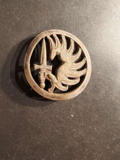 老王徽章第160期 - 法国外籍军团伞兵贝雷帽徽 