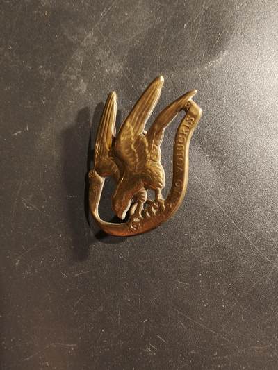 老王徽章第160期 - 丹麦轻骑兵卫队帽徽