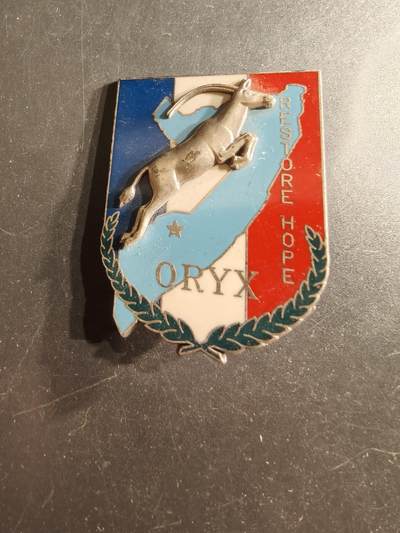 老王徽章第160期 - 索马里内战法国“恢复希望行动”（也称“羚羊行动”）证章