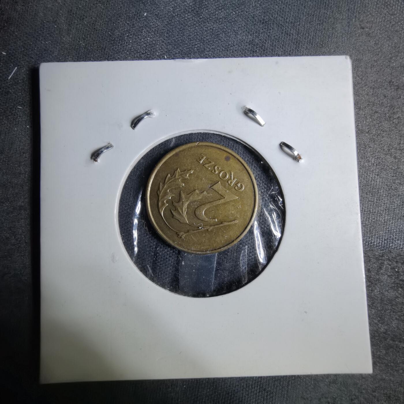 沼泽如烟--第886场