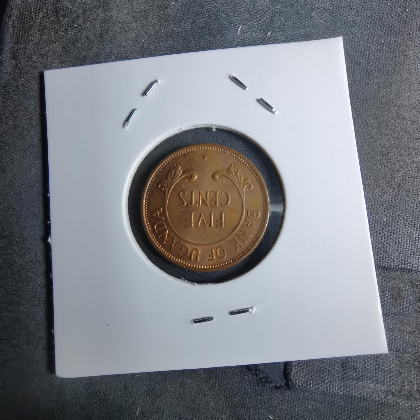 沼泽如烟--第886场