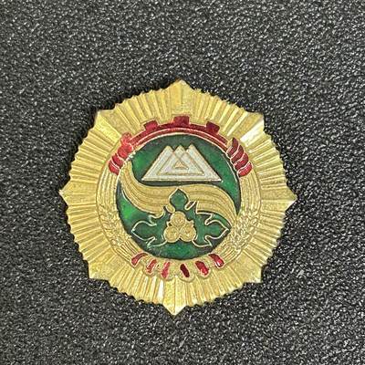 西秦中古拍卖第六十三期 - 新疆克孜勒苏自治州成立30周年纪念章