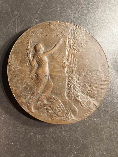 老王徽章第160期 -  法国晨报报社大铜章      直径50mm.   重量61.6g