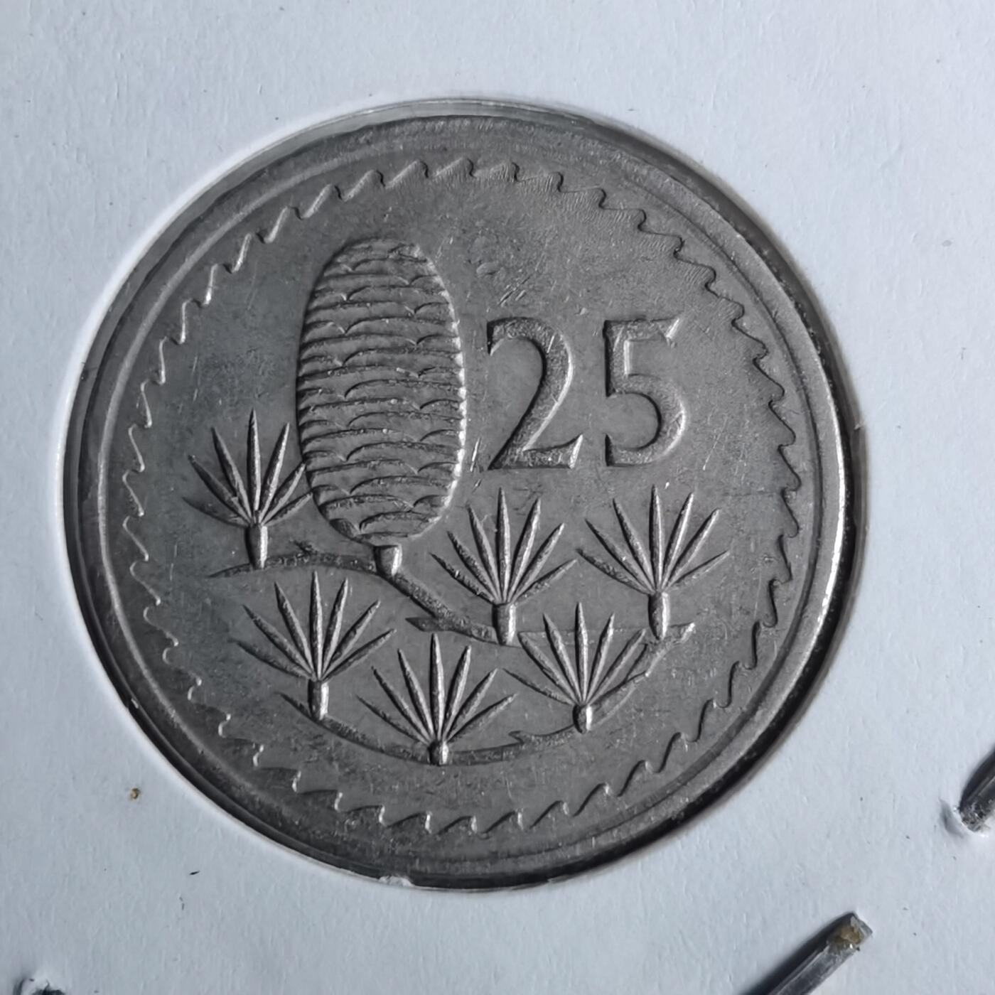 沼泽如烟--第886场 塞浦路斯1977年25分