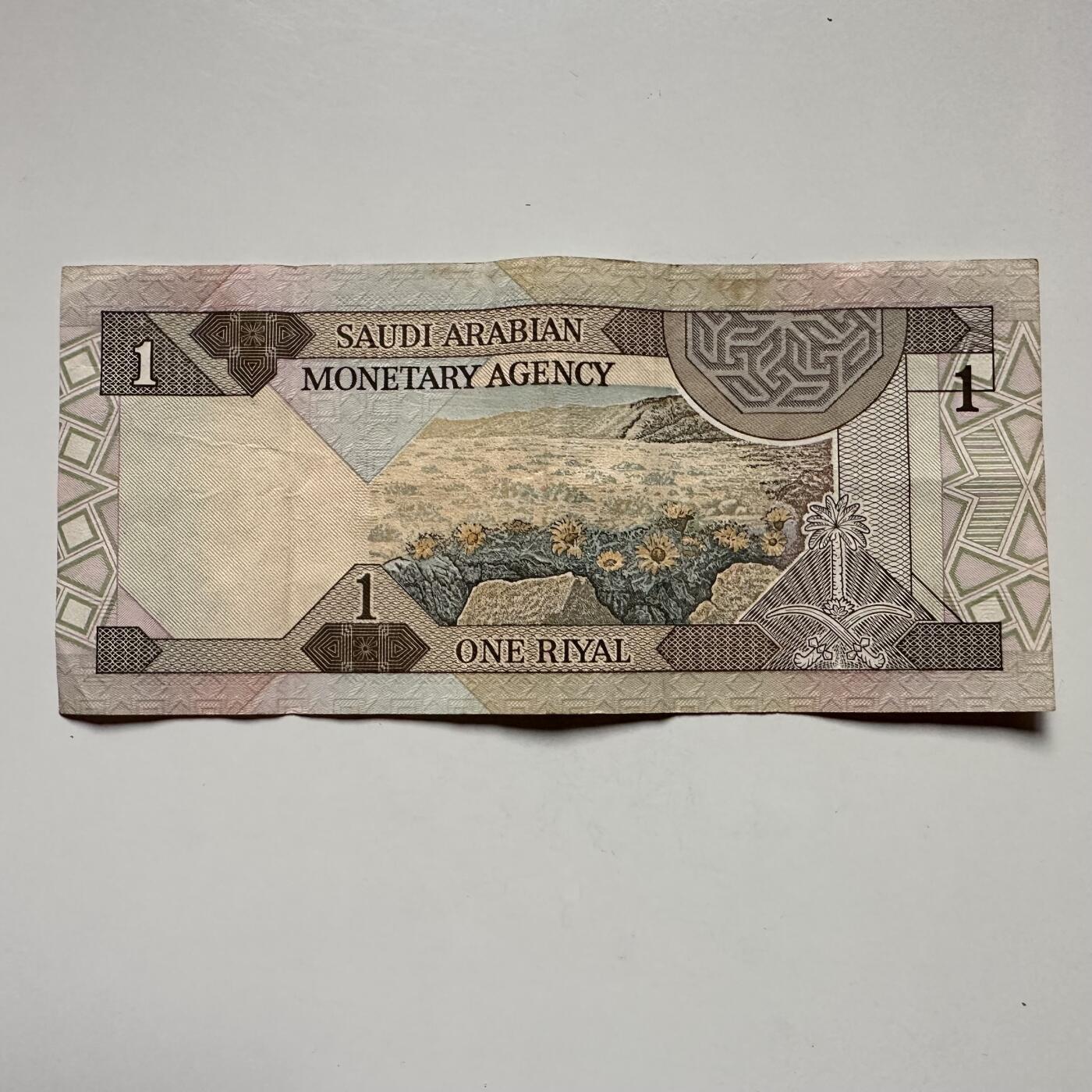 🌹外币初藏🌹🐯2025年第122场  每周二四六晚8️⃣点 接代拍 沙特1984年一里亚尔