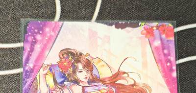 绝对不正常的拍卖场 不寄存! - 焱卡文化解语花金瓶梅西门大姐炫彩