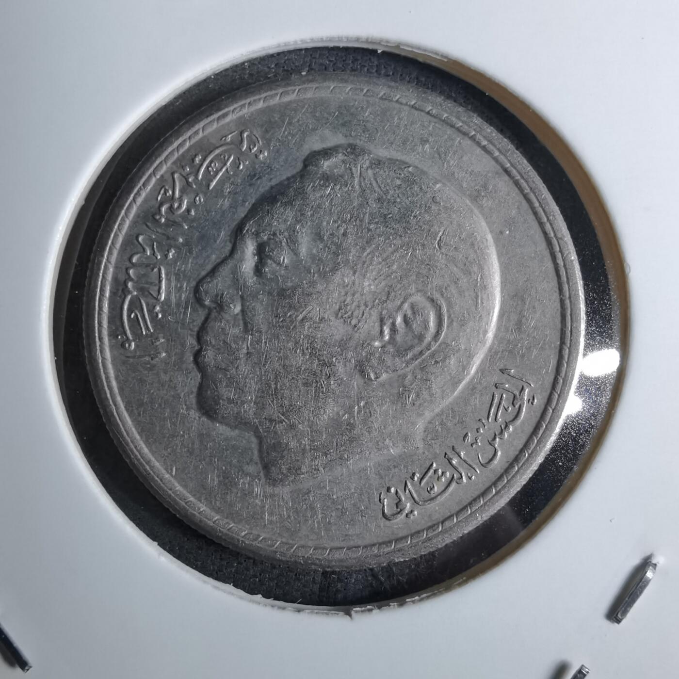 沼泽如烟--第886场