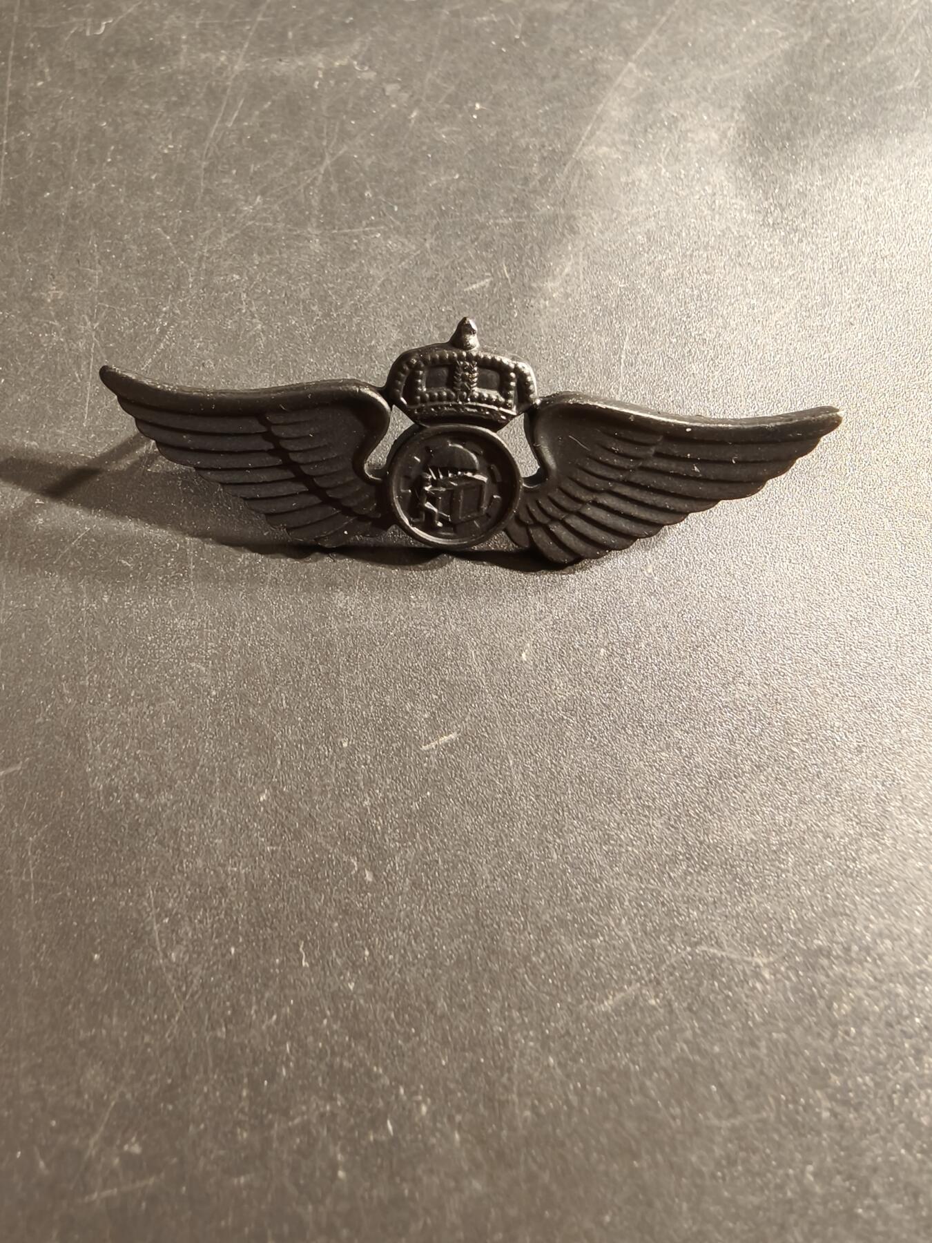 老王徽章第160期