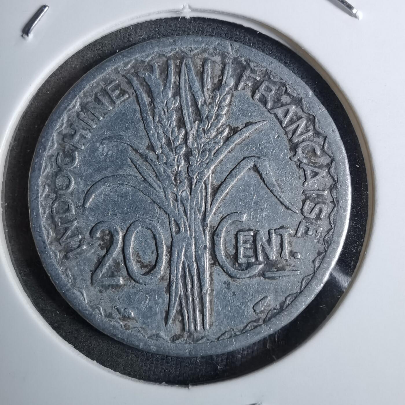 沼泽如烟--第886场