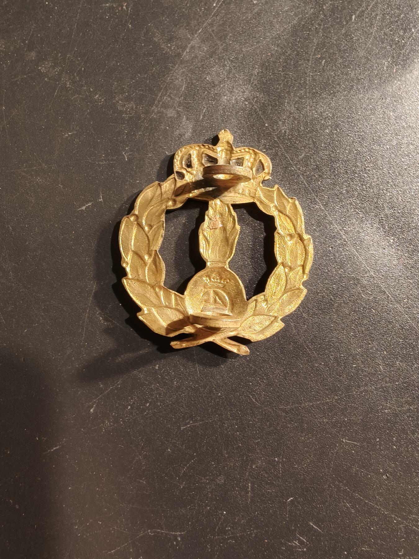 老王徽章第160期