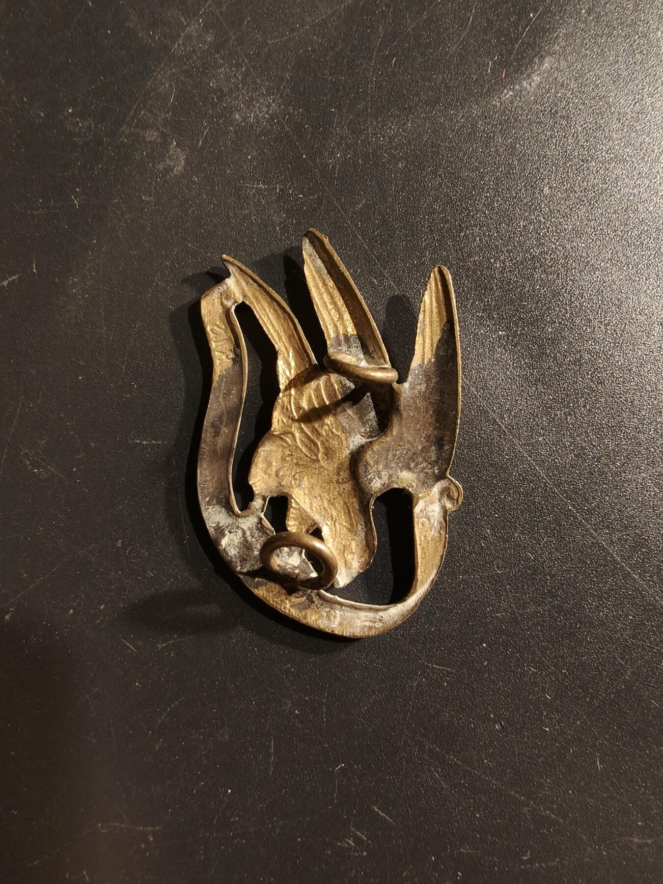 老王徽章第160期 丹麦轻骑兵卫队帽徽