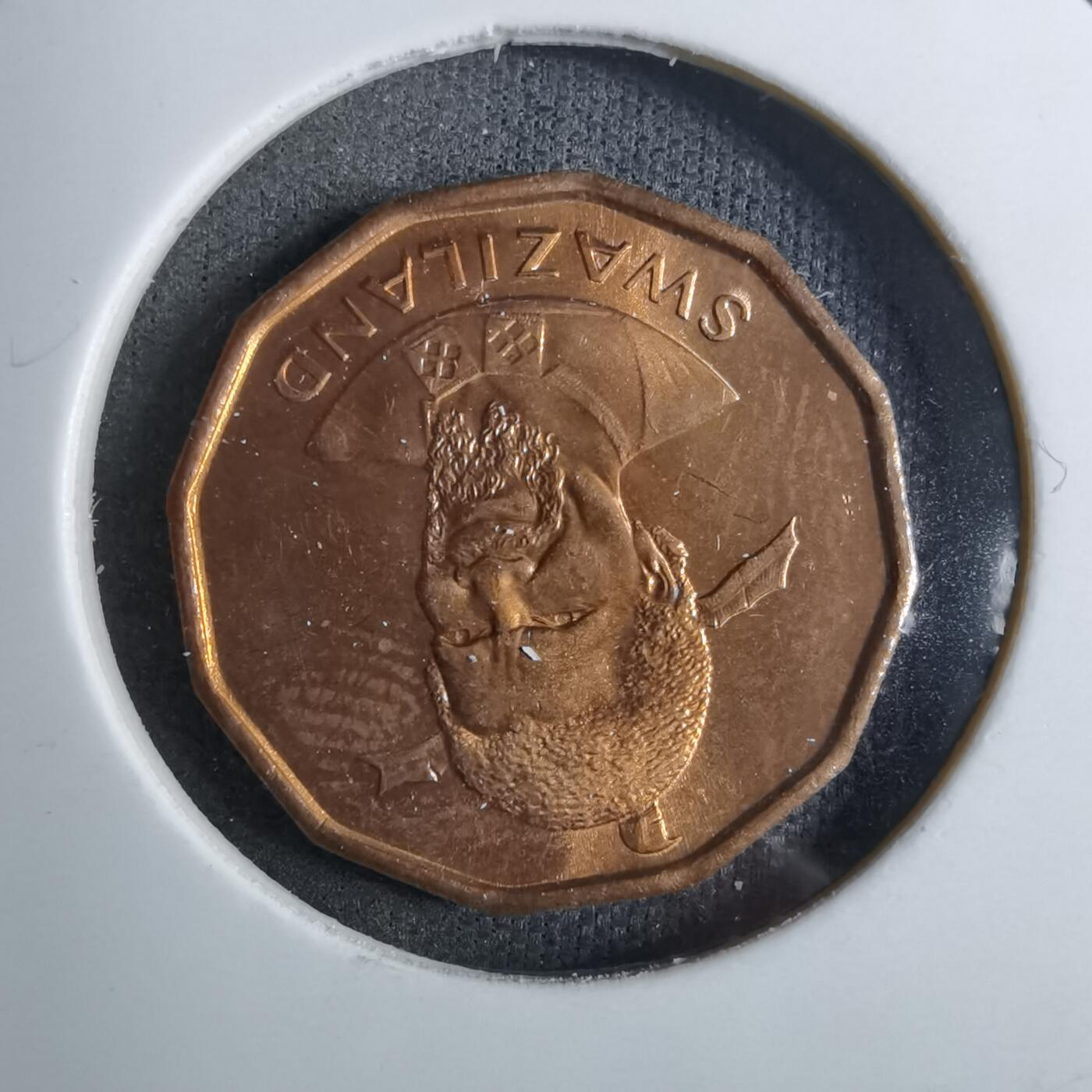 沼泽如烟--第886场