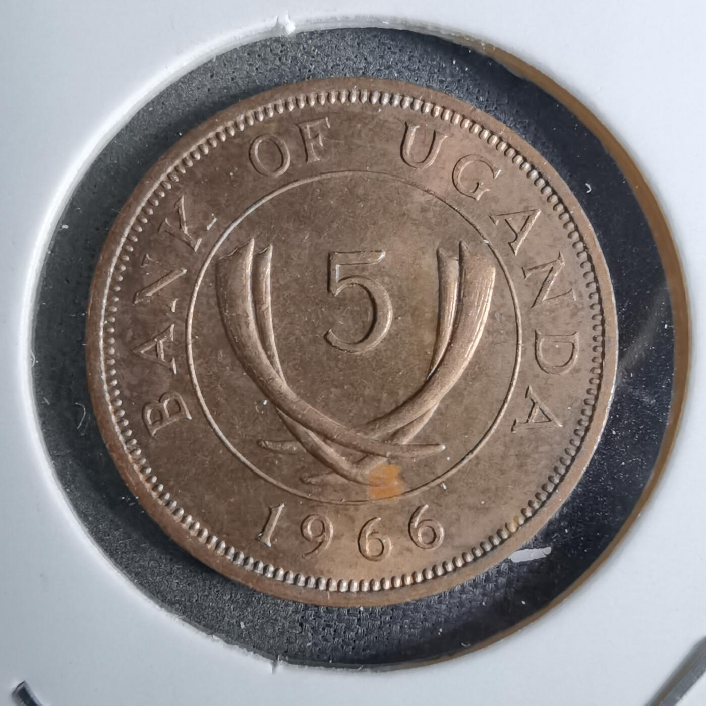 沼泽如烟--第886场