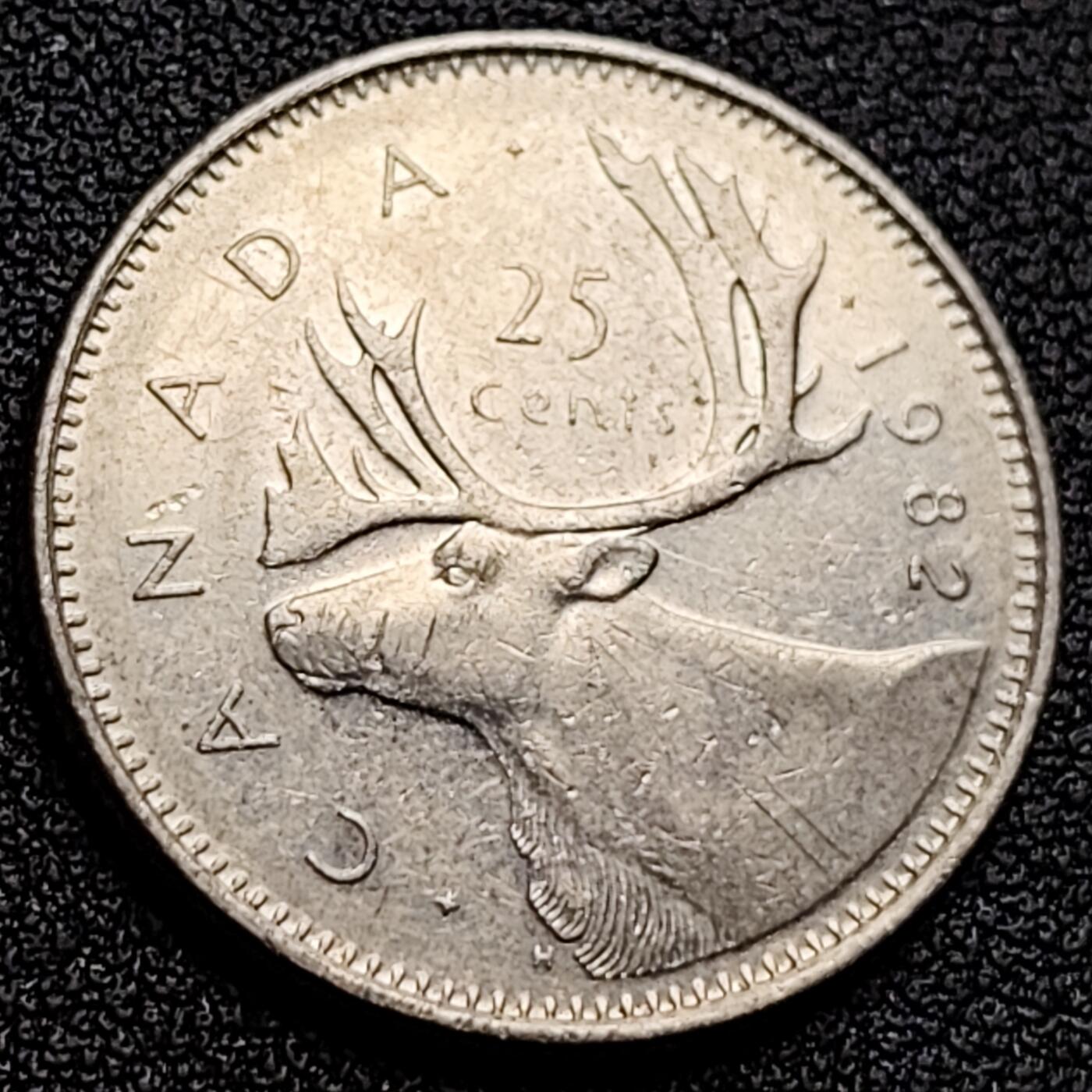 泉币菌-第122场-精品福利场