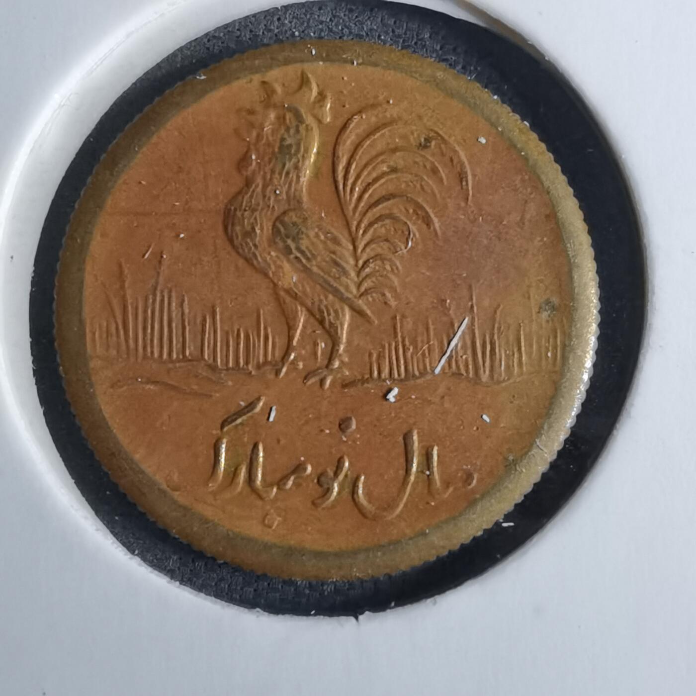 沼泽如烟--第886场 伊朗代币