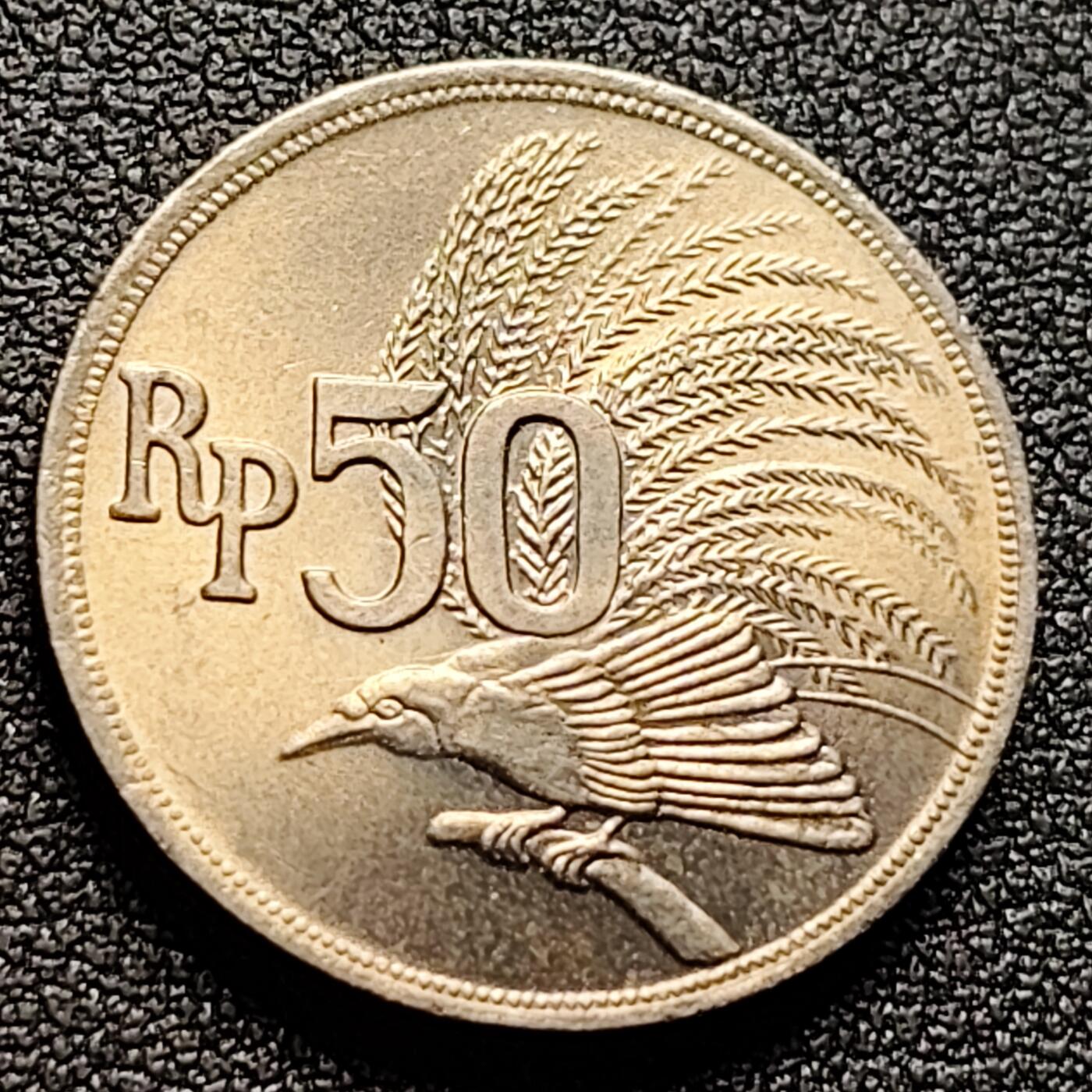 泉币菌-第122场-精品福利场