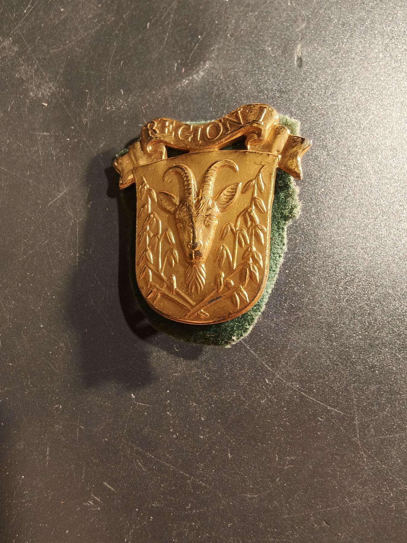 老王徽章第160期 丹麦陆军国民警卫队第1营帽徽 