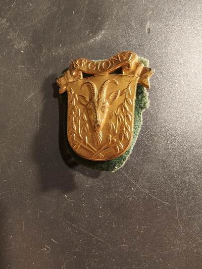 老王徽章第160期 - 丹麦陆军国民警卫队第1营帽徽 