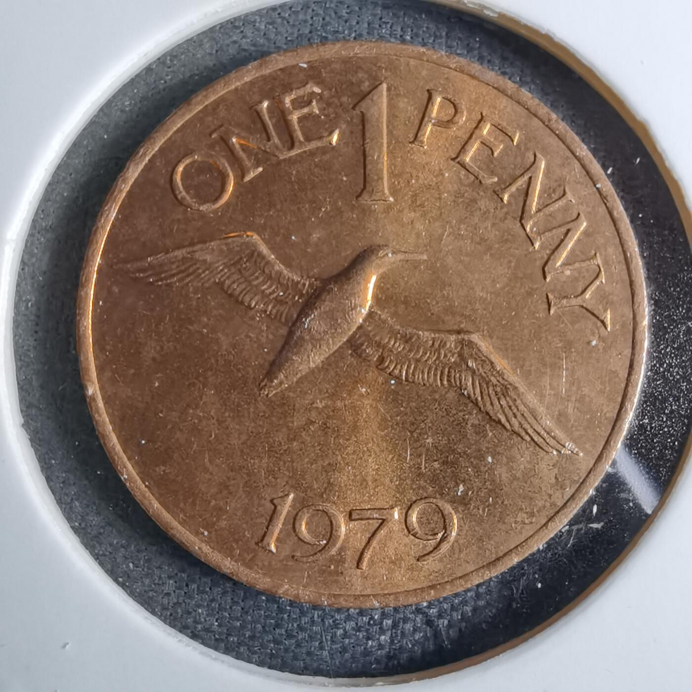 沼泽如烟--第886场