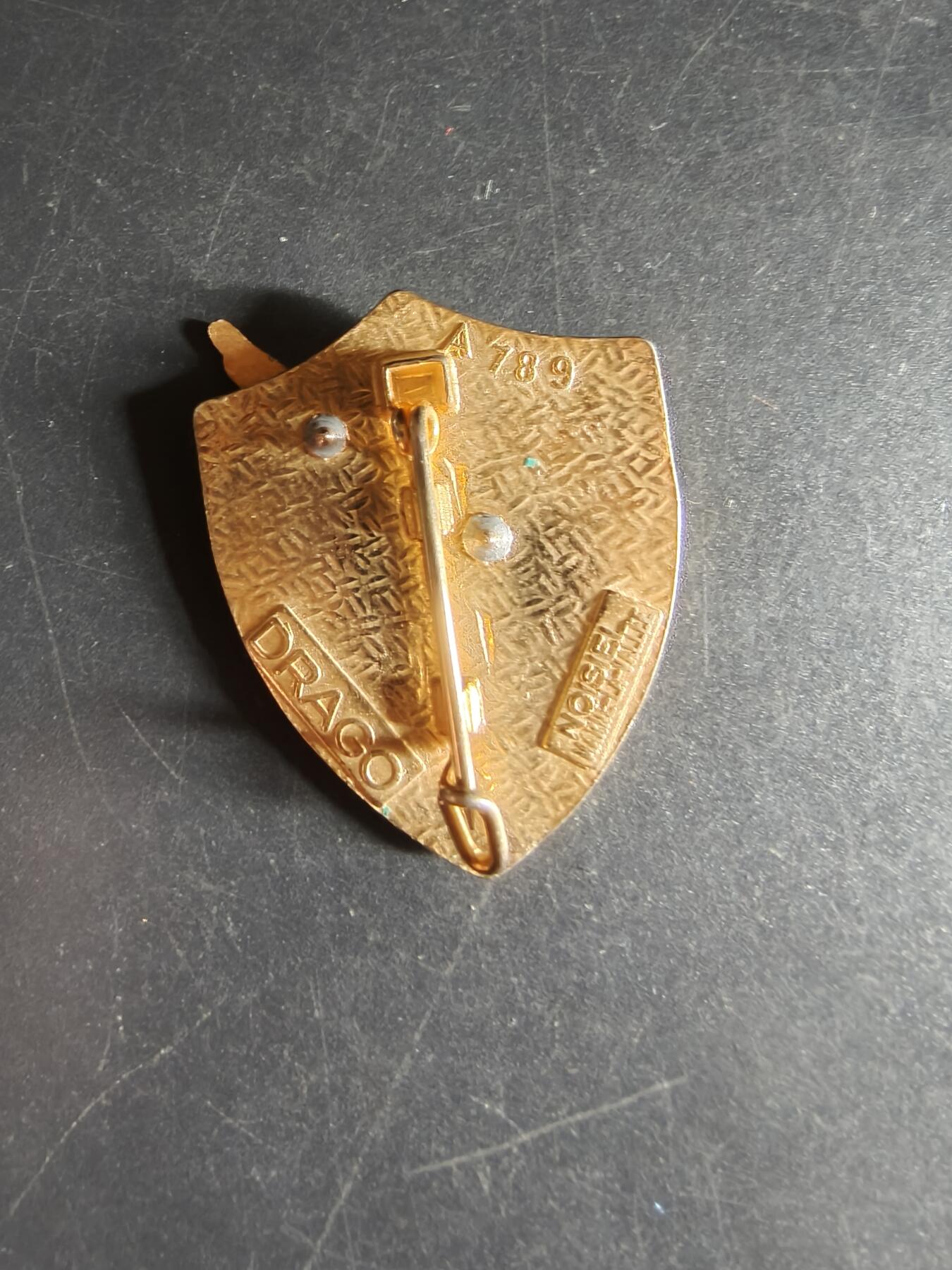 老王徽章第160期  法国空军昂贝略-昂比热空军基地证章  