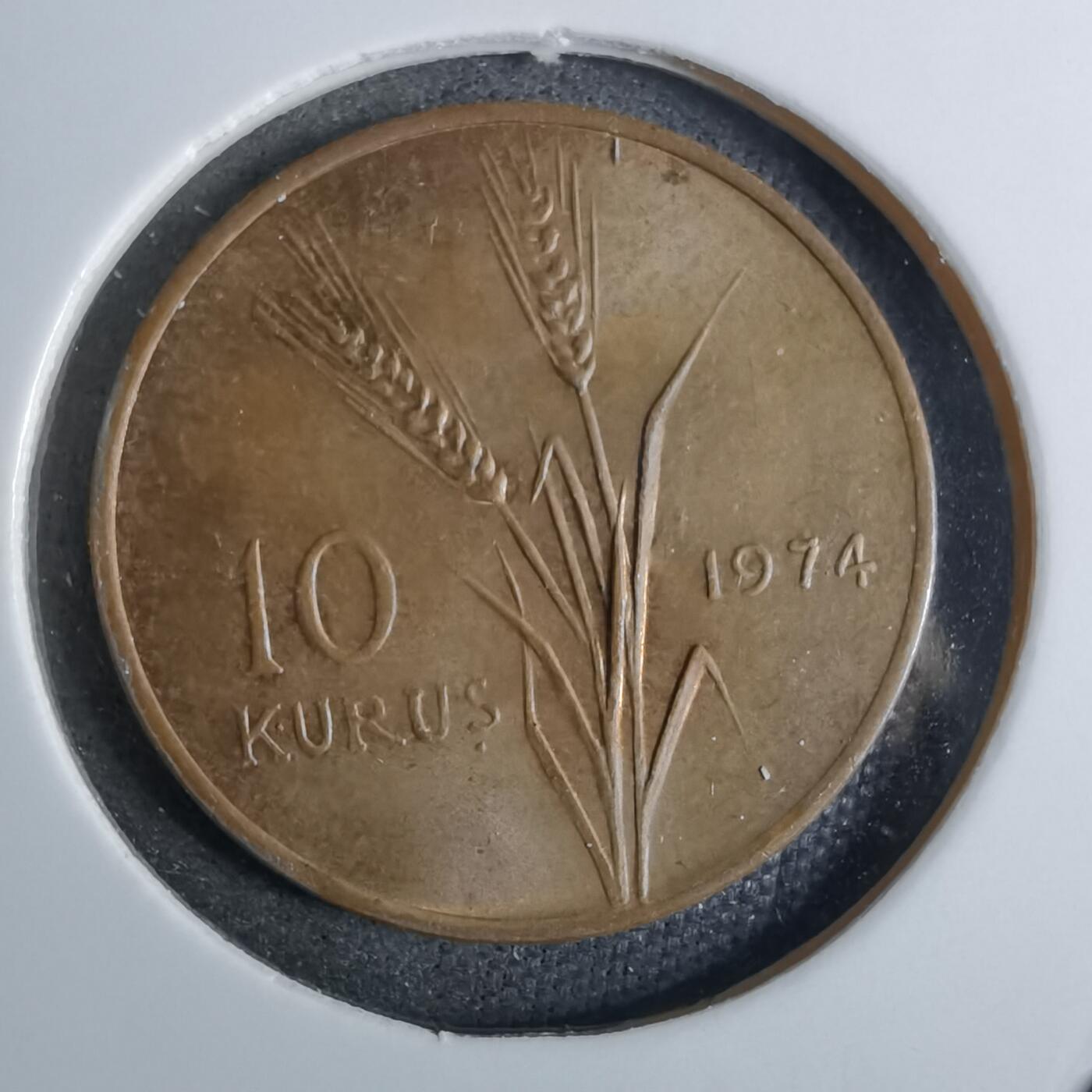 沼泽如烟--第886场