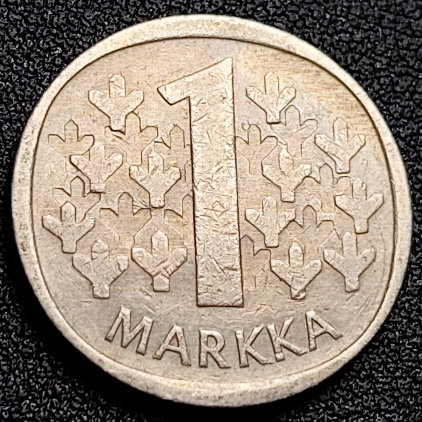 泉币菌-第122场-精品福利场