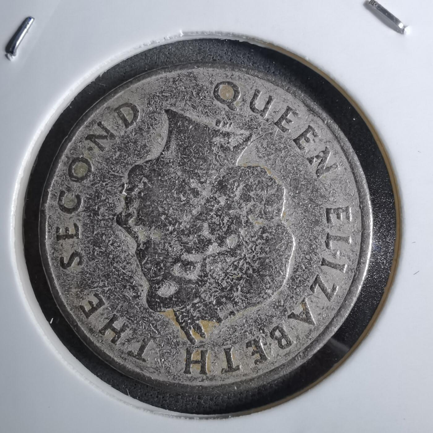 沼泽如烟--第886场