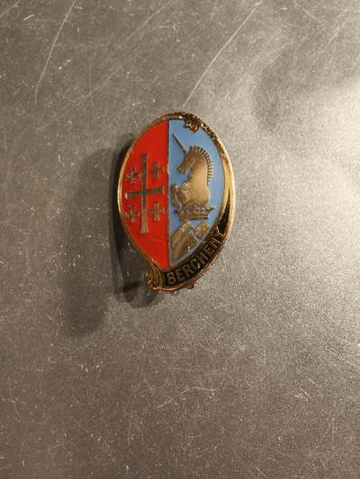 老王徽章第160期 -  法国第1伞降骠骑兵团证章