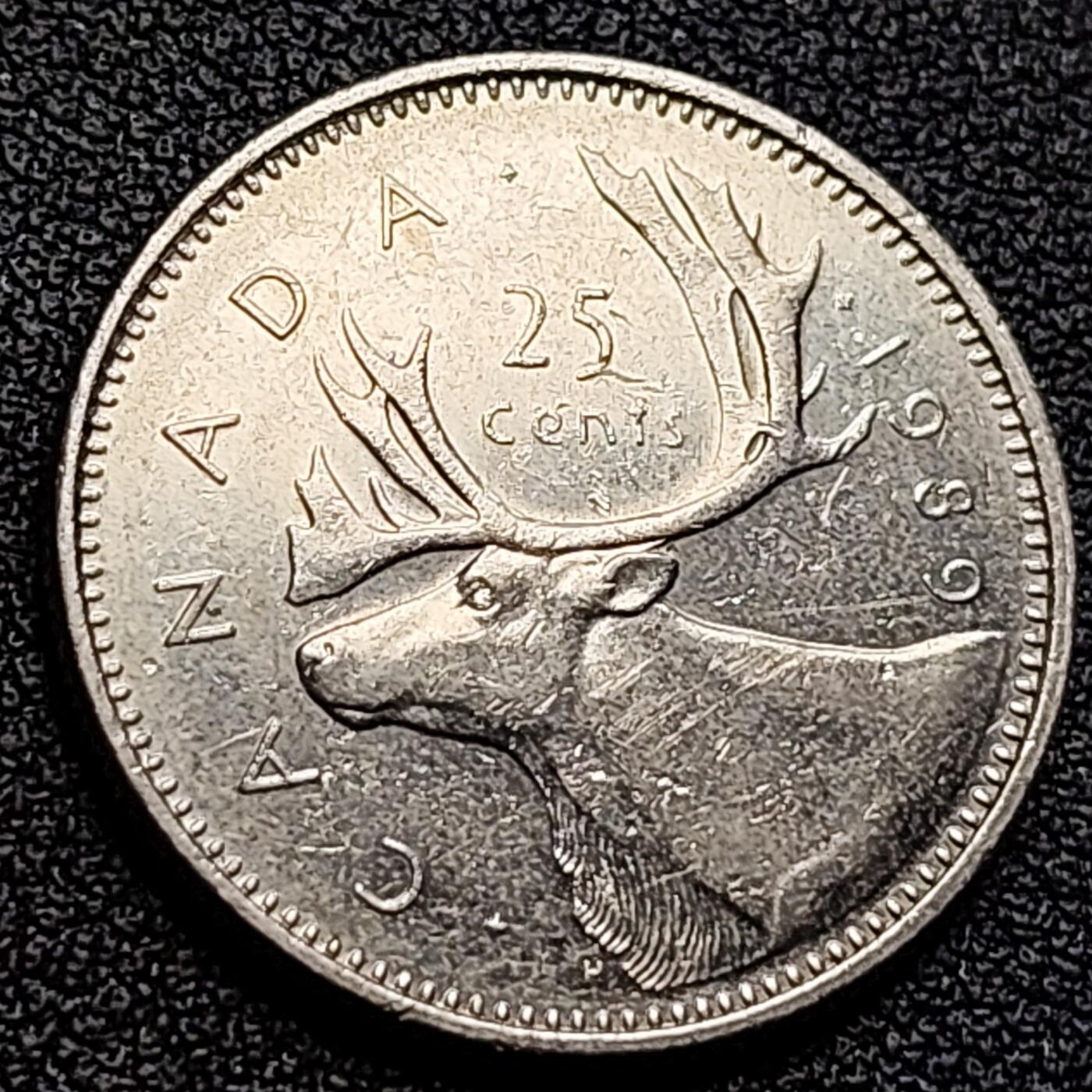 泉币菌-第122场-精品福利场