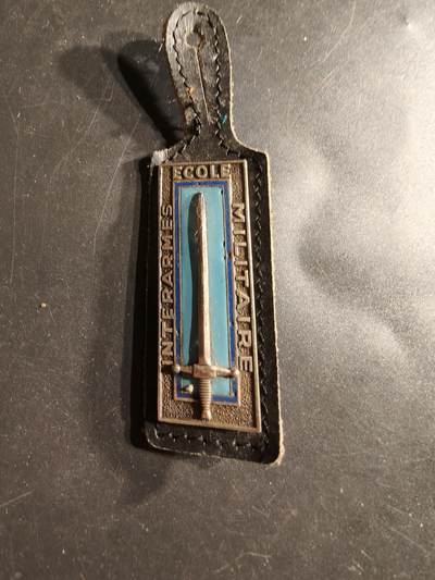 老王徽章第160期 -  法国诸兵种合成学校证章