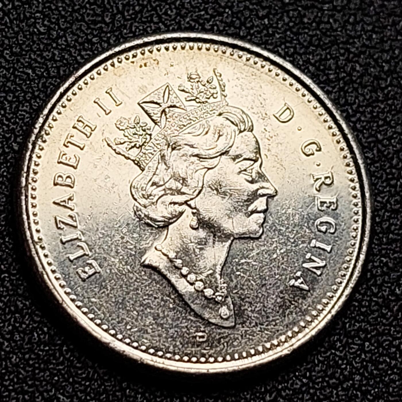 泉币菌-第122场-精品福利场