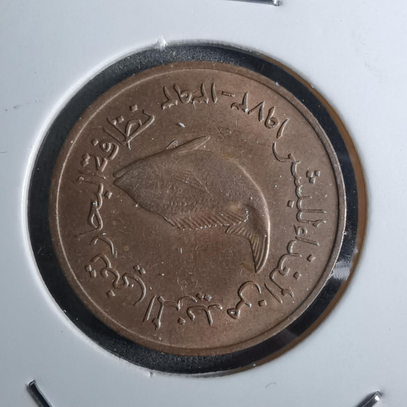 沼泽如烟--第886场 阿联酋