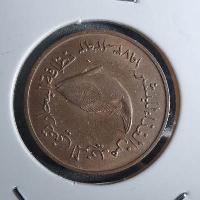 沼泽如烟--第886场 - 阿联酋