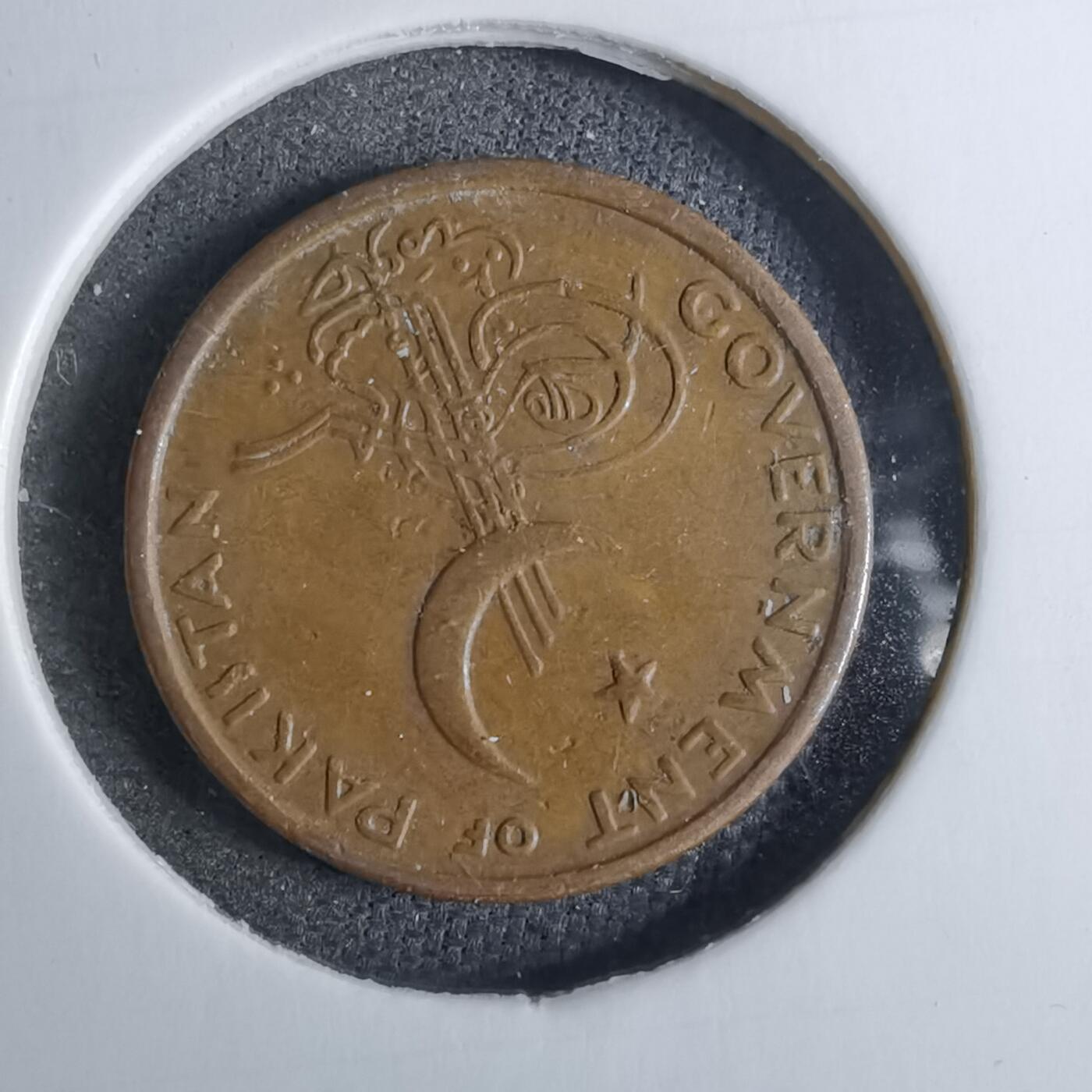 沼泽如烟--第886场