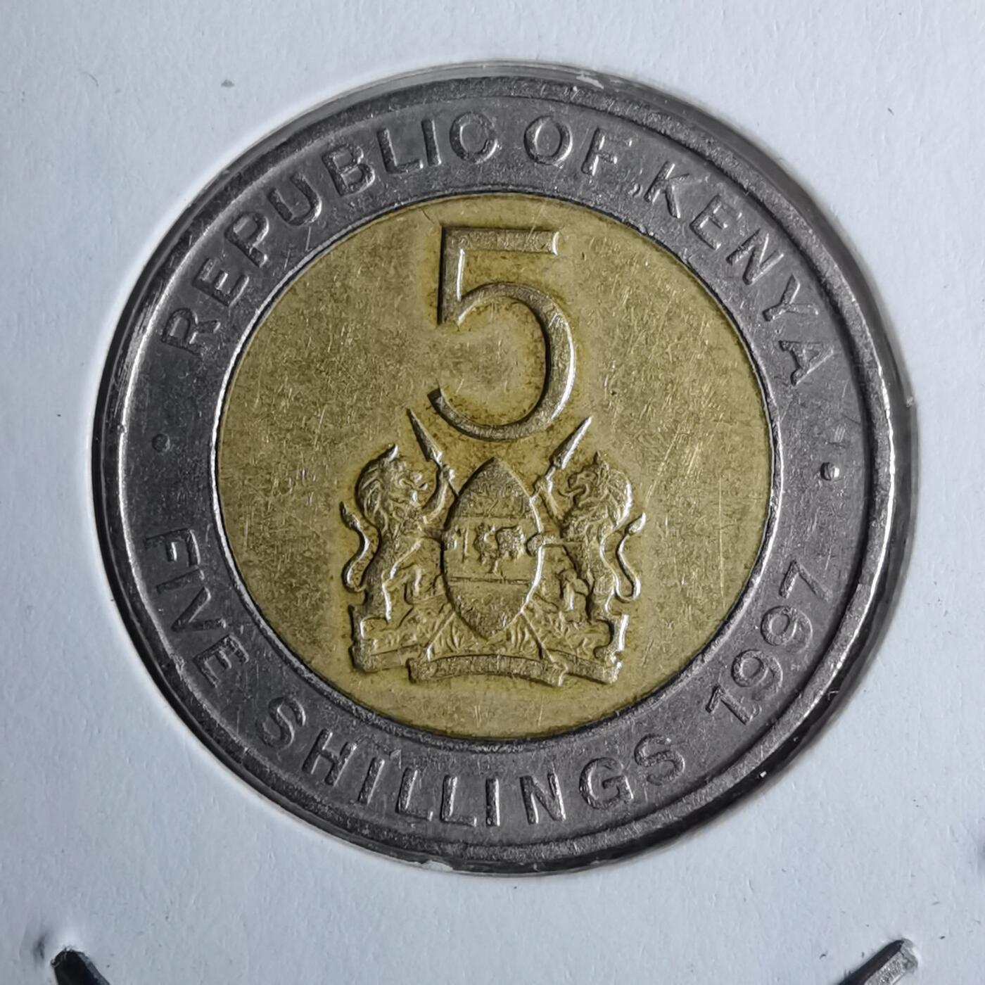 沼泽如烟--第886场