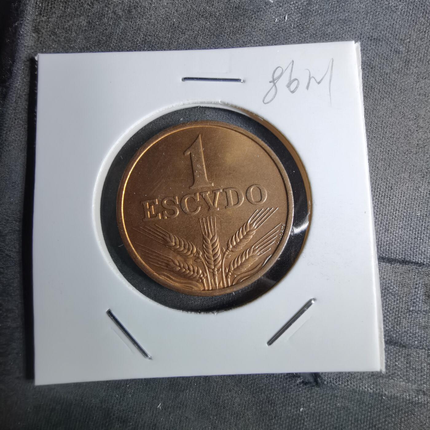 沼泽如烟--第886场