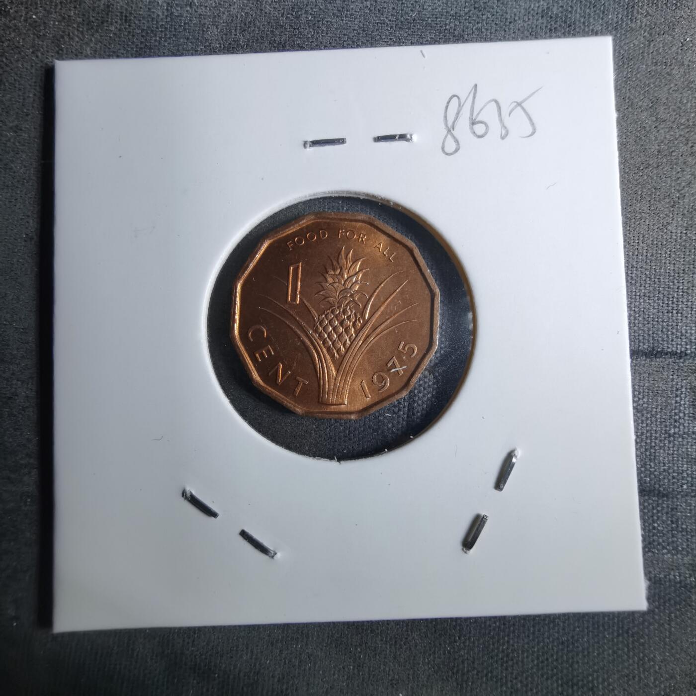 沼泽如烟--第886场