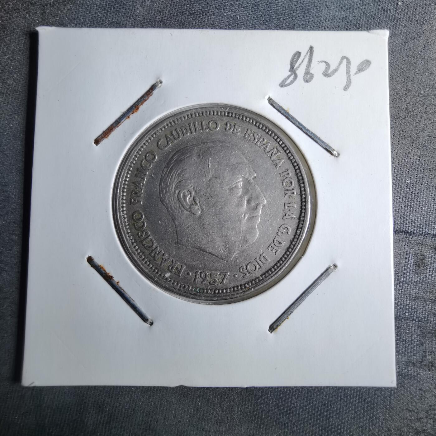 沼泽如烟--第886场