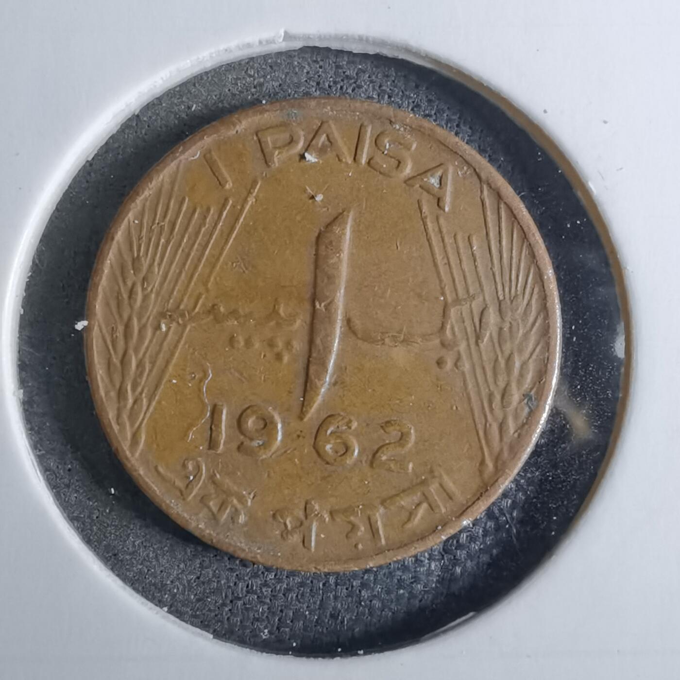 沼泽如烟--第886场