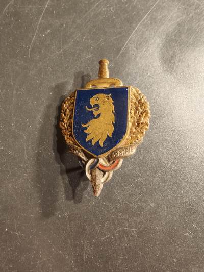 老王徽章第160期 -  法国陆军预备役证章