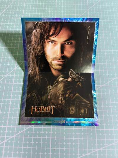 C先生卡牌 第15期 元集纪·刷子签·罐儿签·毒瘤签(持续收拍品中...) - 【限编小书卡】卡卡沃《华纳正版》200/245编  霍比特人